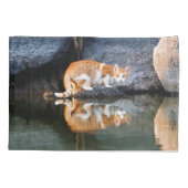 Kat Reflection in Pond Water Foto - Kussensloop (Achterkant)
