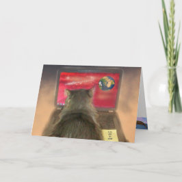 Kat regelt de werelddag kaart