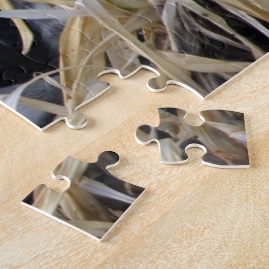 Kat Resten bij Struiken Puzzle Legpuzzel (Zijkant)