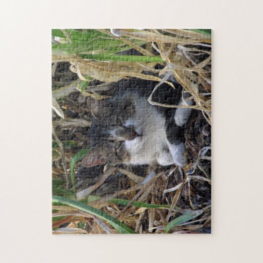 Kat Resten bij Struiken Puzzle Legpuzzel (Verticaal)