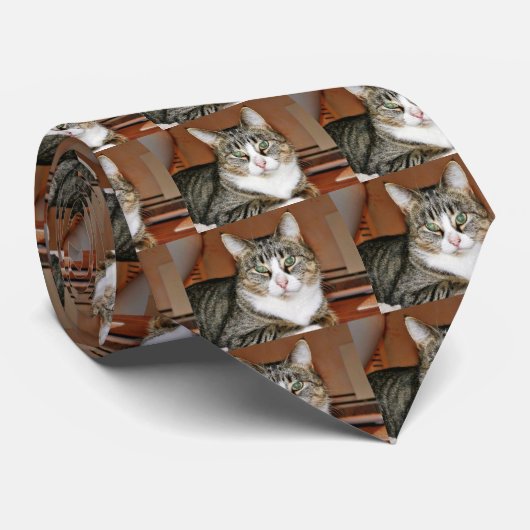 Kat Resting Stropdas (Opgerold)