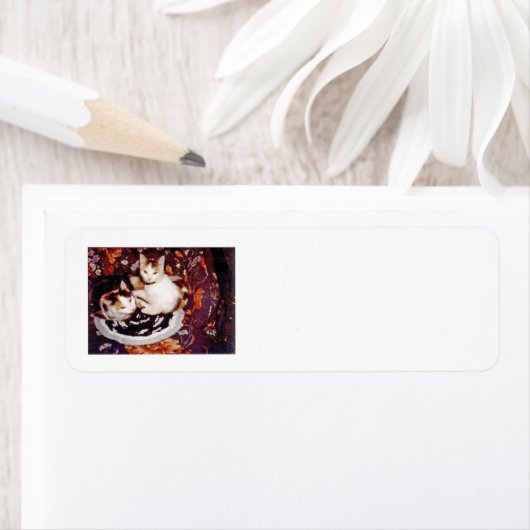 Kat-retouretiket Etiket (Insitu)