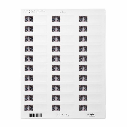 Kat return address label - blauwe ogen (Full Sheet)