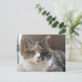 Kat "Rode" portret Briefkaart (Staand voorkant)