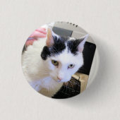 Kat Ronde Button 3,2 Cm (Voorkant)