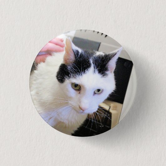 Kat Ronde Button 3,2 Cm (Voorkant)