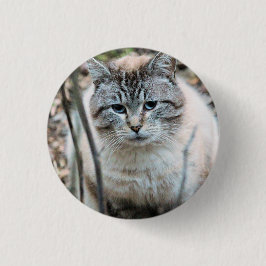 Kat Ronde Button 3,2 Cm