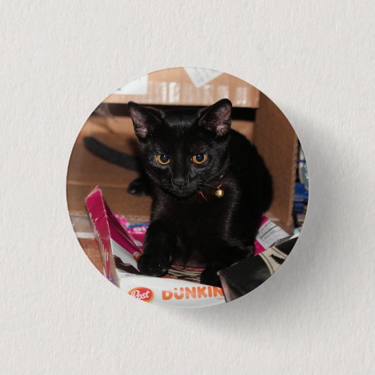 Kat Ronde Button 3,2 Cm (Voorkant)