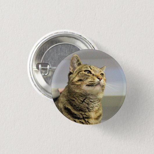 Kat Ronde Button 3,2 Cm (Voorkant /achterkant)