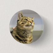 Kat Ronde Button 3,2 Cm (Voorkant)