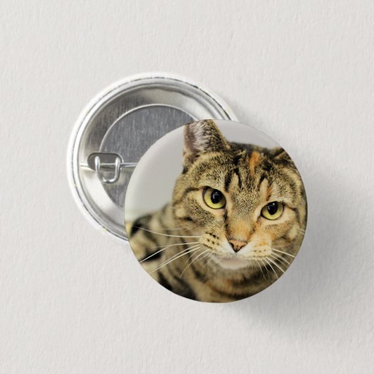 Kat  ronde button 3,2 cm (Voorkant /achterkant)