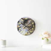 Kat Ronde Klok (Huis)