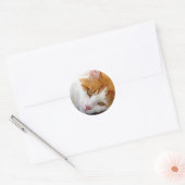  Kat Ronde Sticker (Envelop)