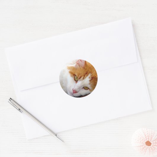  Kat Ronde Sticker (Envelop)