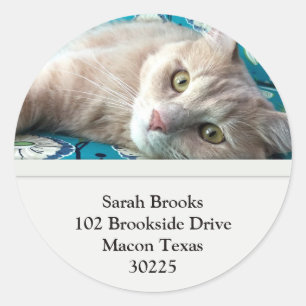 Kat Ronde Sticker