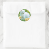 kat ronde sticker (Tas)