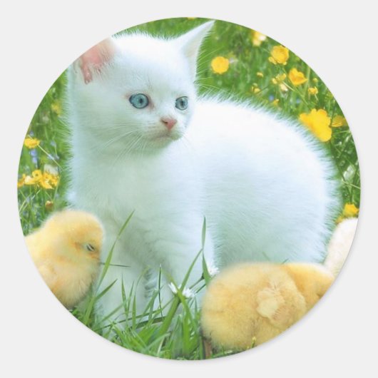 kat ronde sticker (Voorkant)