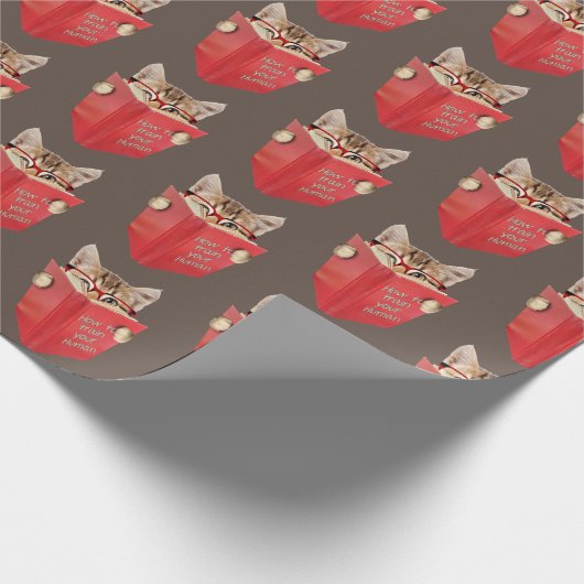 Kat Rood boek lezen bruin Cadeaupapier (Hoek)