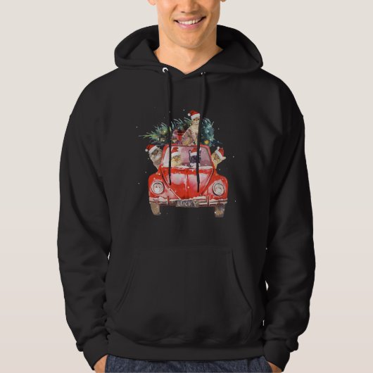 Kat Rood kerstboomkat Kat Santa Hat Hoodie (Voorkant)