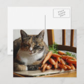 Kat 'rood' met wortelen briefkaart (Voorkant / Achterkant)