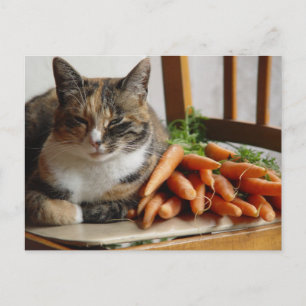 Kat 'rood' met wortelen briefkaart