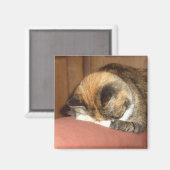 Kat 'Rood' slapen op de hoest Magneet (Voorkant / Achterkant)