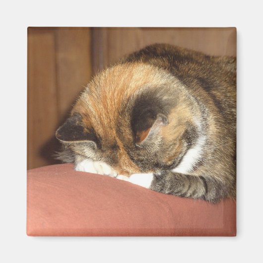 Kat 'Rood' slapen op de hoest Magneet (Voorkant)