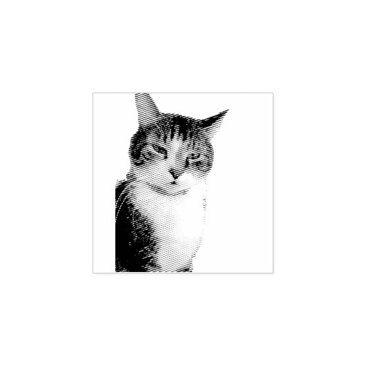 Kat Rubberstempel (Afrduk)