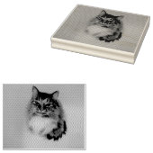 Kat Rubberstempel (Gestempeld)