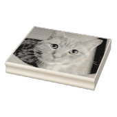Kat Rubberstempel (Stempel)
