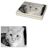 Kat Rubberstempel (Gestempeld)