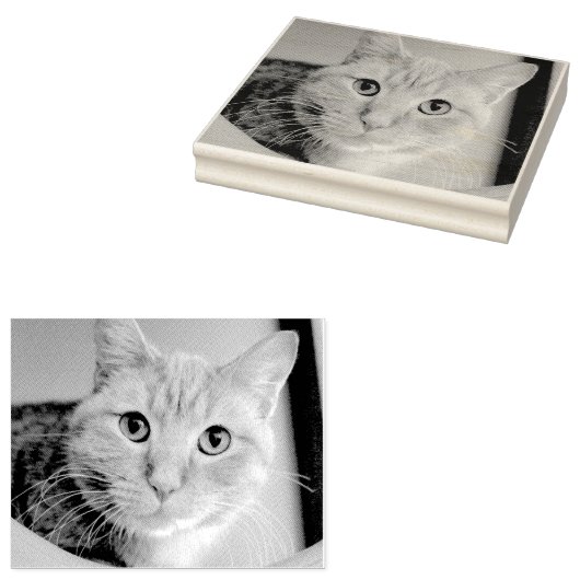 Kat Rubberstempel (Gestempeld)