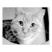 Kat Rubberstempel (Afrduk)