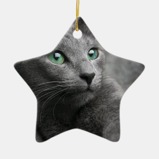 Kat Russisch Blauw Kijk Oogkleurig Pet Keramisch Ornament (Voorkant)