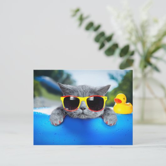 Kat rust in de pool op de luchtmatras briefkaart (Staand voorkant)