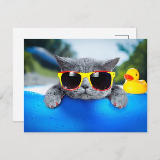 Kat rust in de pool op de luchtmatras briefkaart (Voorkant / Achterkant)