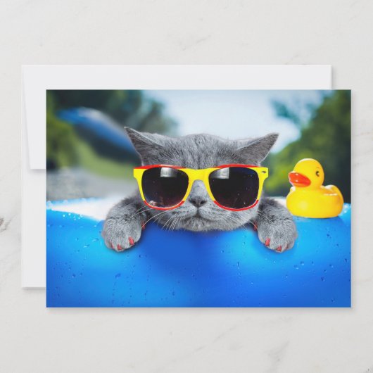 Kat rust in de pool op de luchtmatras kaart (Achterkant)