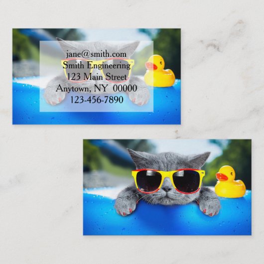 Kat rust in de pool op de luchtmatras visitekaartje (Voorkant / Achterkant)