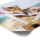 Kat rust op een zonniger foto afdruk (Hoek)