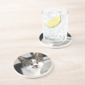 Kat Sandstone Onderzetter (Zijkant)