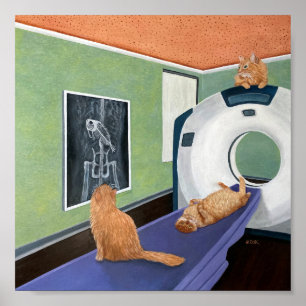 Kat Scan. Kunst van Kat & Vis, Cadeau voor Dierena Poster