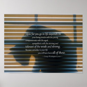 Kat Schaduw met de Prints van het Poster van het C