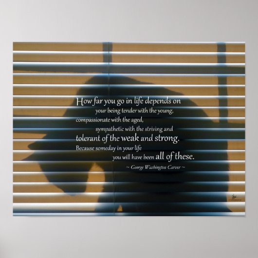 Kat Schaduw met de Prints van het Poster van het C (Voorkant)
