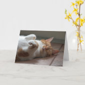 Kat schattig Denken aan je Kaart (Gele Bloem)