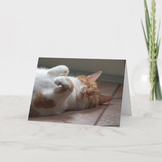 Kat schattig Denken aan je Kaart (Voorkant)