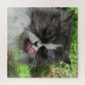 Kat, schattig, huisdier, vieze... legpuzzel (Horizontaal)