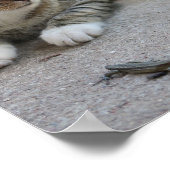 Kat, schattig, huisdier, vieze... poster (Hoek)