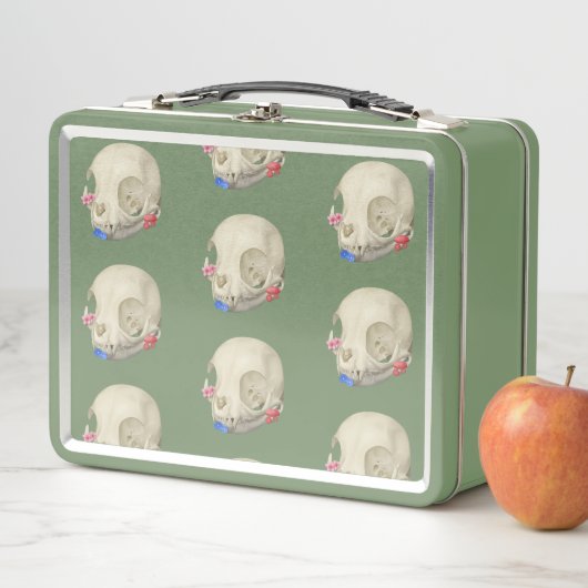 Kat schedel met flora (In situ)