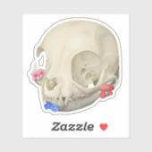 Kat schedel met flora sticker (Vel)