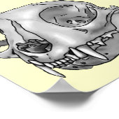 Kat schedel poster (Hoek)